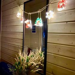 Фото Отель Лесная ягода