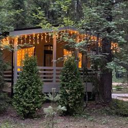 Лесной домик