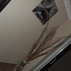 Фото Отель DragonFly (ДрагонФлай)