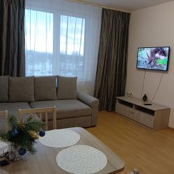 Фото Апартаменты на улице Гражданская 27