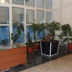 Фото Отель Заря