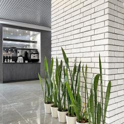 Фото Отель Mister Goodman (Мистер Гудман)