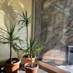 Фото Отель Grand Hotel Kapan (Гранд )