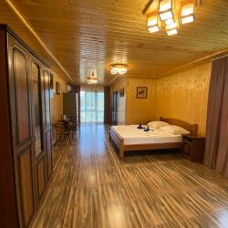 Фото Парк-отель Галина