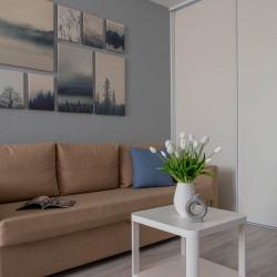 1-комнатные апартаменты стандарт