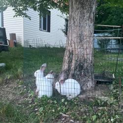 Фото Отель Сплавной Участок