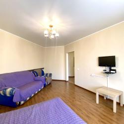 1-комнатные апартаменты стандарт 1-к. кв. ул. Проезжая 25 №26