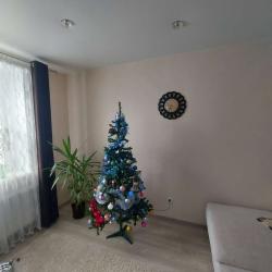 Фото Апартаменты на бульваре Всполье