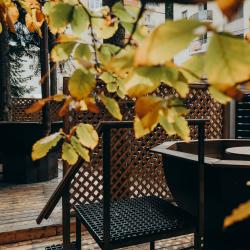 Фото Отель Dombay Winter Hall (Винтер Холл)