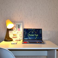 Фото Отель ЭмиЛи на улице Конструкторов 29А к1