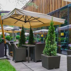Фото Отель Barvikha Hotel & Spa (Барвиха)