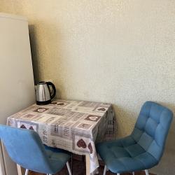 Фото Апартаменты на проспекте Ленина 7