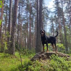 Фото Отель Домик Рэми