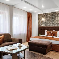 Номер люкс премиум с 1 двуспальной кроватью