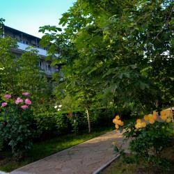 Фото Парк-Отель Южный берег