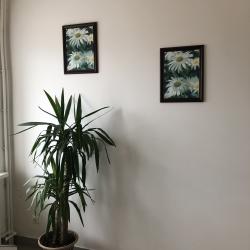 Фото Отель На Валге