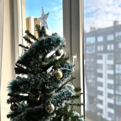 1-комнатные апартаменты улучшенные