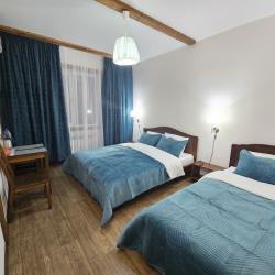 Фото Отель Шишкино-парк аэропорт Домодедово