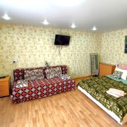 Фото Апартаменты Сутки на улице Пландина 7