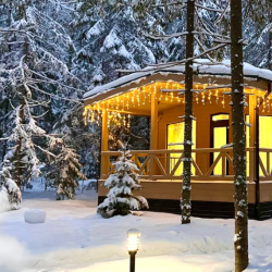 Гармония леса