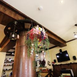 Фото Отель Золотой Гусь