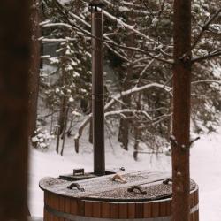 Фото Отель Хвойная хижина