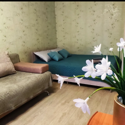 Фото Апартаменты на улице Ленина 47