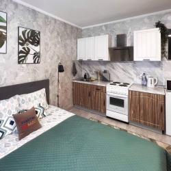 Апартаменты студия