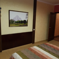 Фото Апартаменты на улице Валентина Скороходова