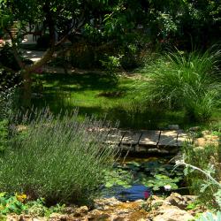 Фото Отель Солнечная Ривьера