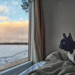 Фото Отель Загородный клуб Лесная сказка