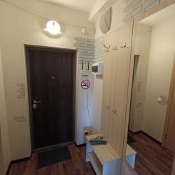 1-комнатные апартаменты студия 19 Пулковское ш 14Д с 1 двуспальной кроватью