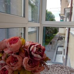 1-комнатные апартаменты стандарт