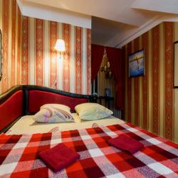 Фото Отель Родина