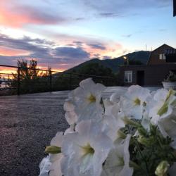 Фото Отель Командор