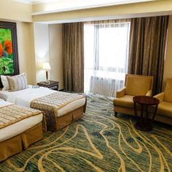 Номер комфорт делюкс