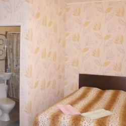 Фото Отель Гостевой дом Домодедово