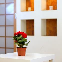 Фото Апартаменты на проспекте Мира 36