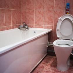 Фото Отель Званица