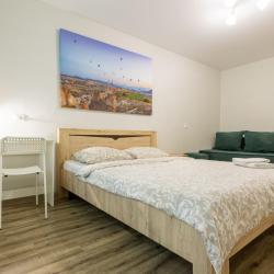 1-комнатные апартаменты стандарт №4