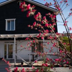 Фото Отель Клубный дом Идрисов