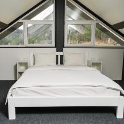 Фото Отель Альпинс residence