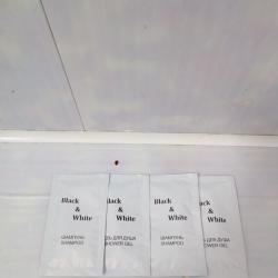 Фото Апартаменты на улице Академическая 9