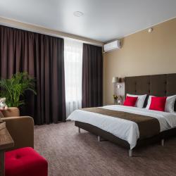 Номер полулюкс с 1 двуспальной кроватью