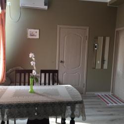 Фото Отель Novosel (Новосёл)