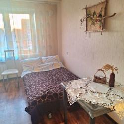 Фото Апартаменты на улице Калинина 185