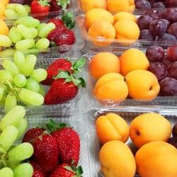 Фото Отель ский Медведь