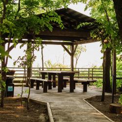 Фото Отель Панорама загородный клуб