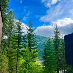 Фото Отель Телецкое Золотое