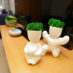 Фото Отель ДзенХоум на улице Ковалихинская 57